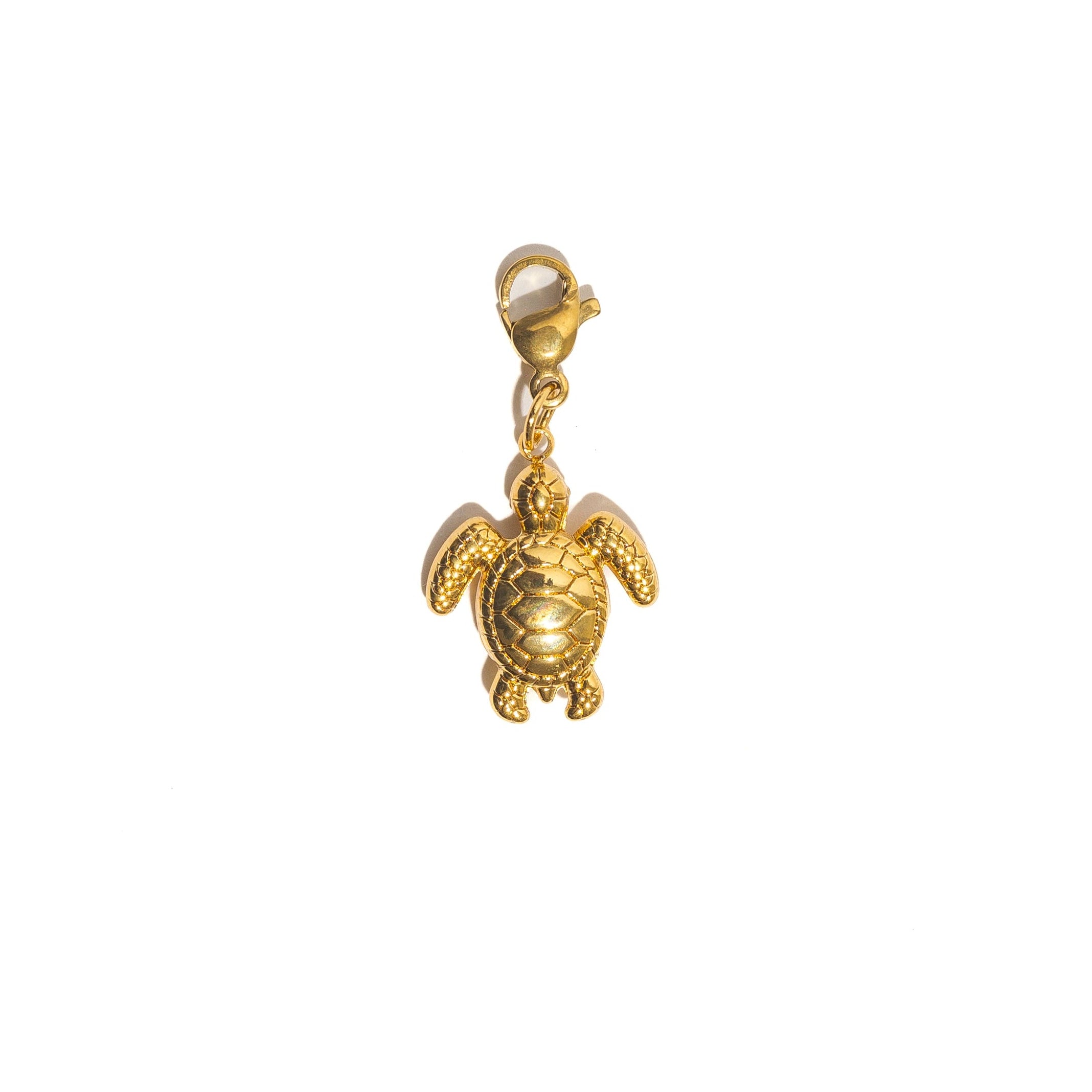Charms tortue