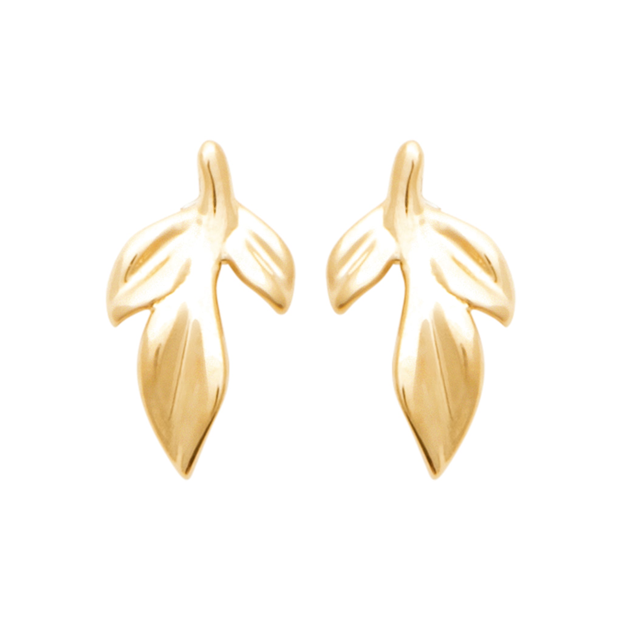 Boucles puces feuilles