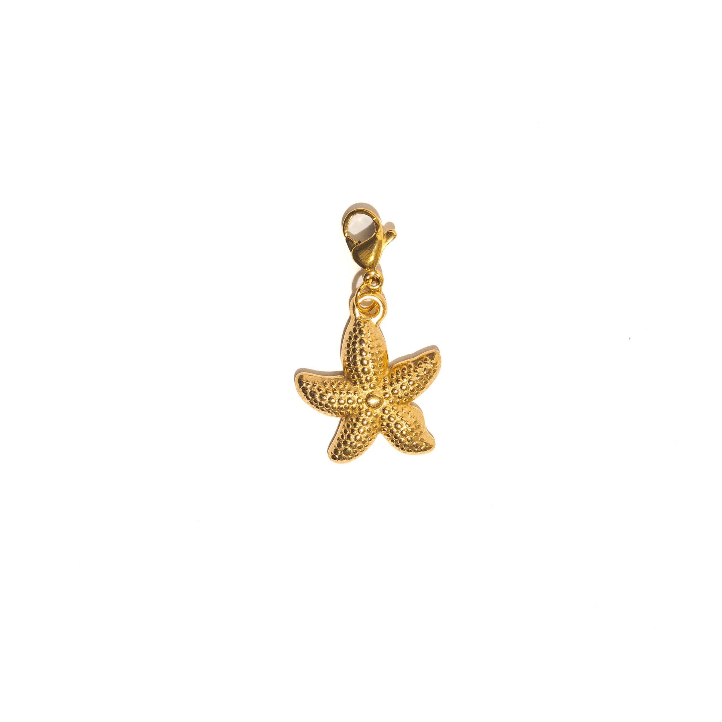 Charms étoile de mer